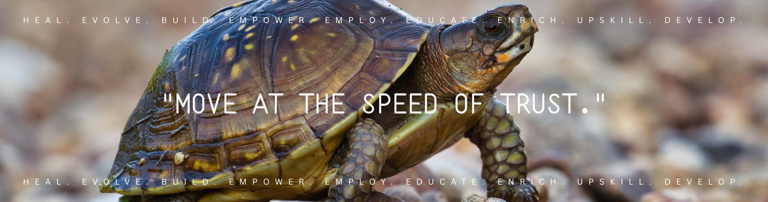 Move at the speed of trust