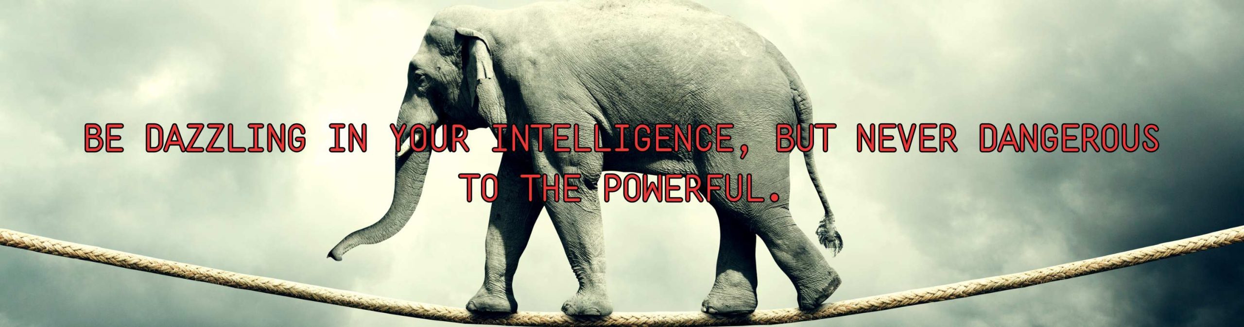 Be dazzling in your intelligence but never dangerous to the powerful